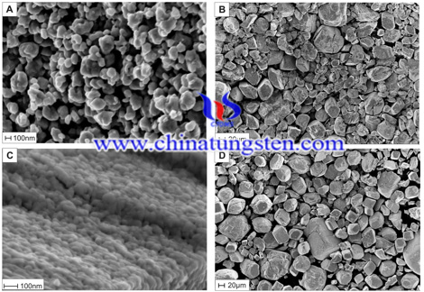 SEM images of the precursor oxides produced from APT-2